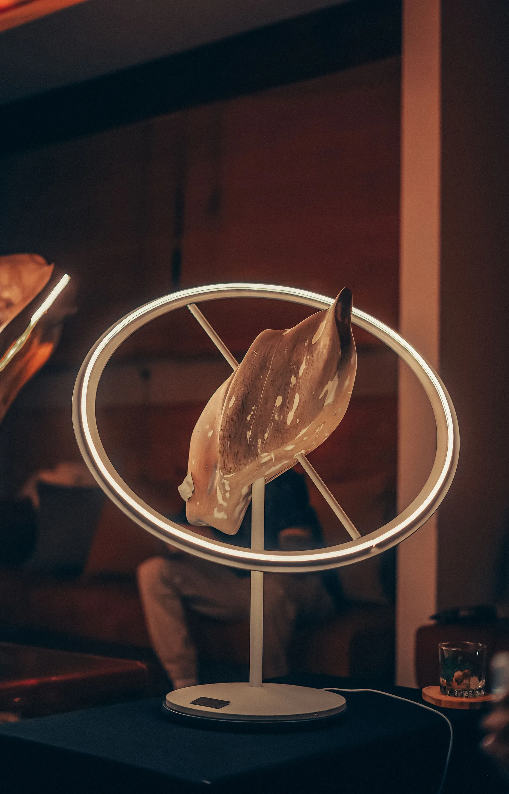 Astra glowing at night inside a warm interior, ring of light fully lit
