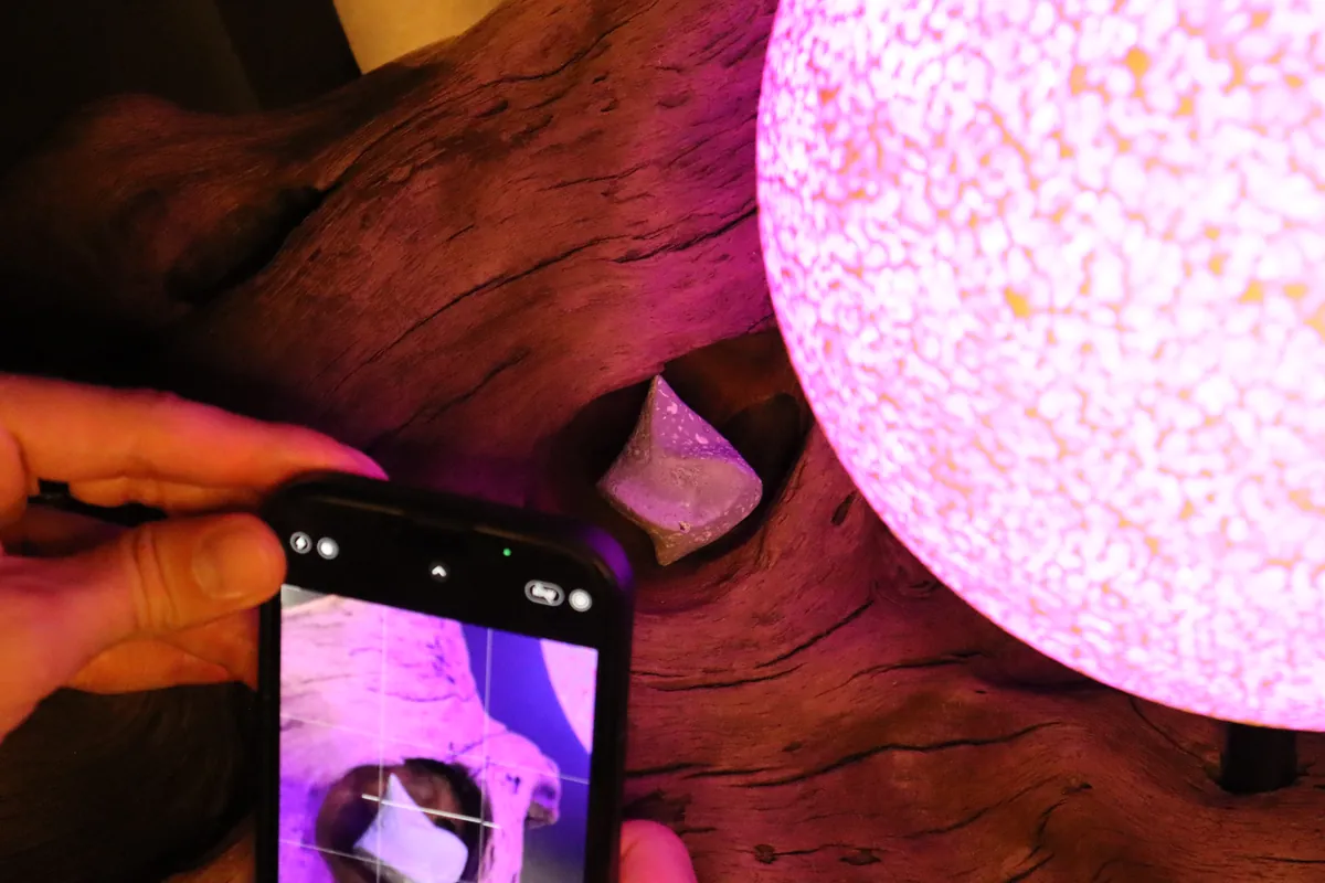 A phone photographing the amethyst detail of Halo — archive record