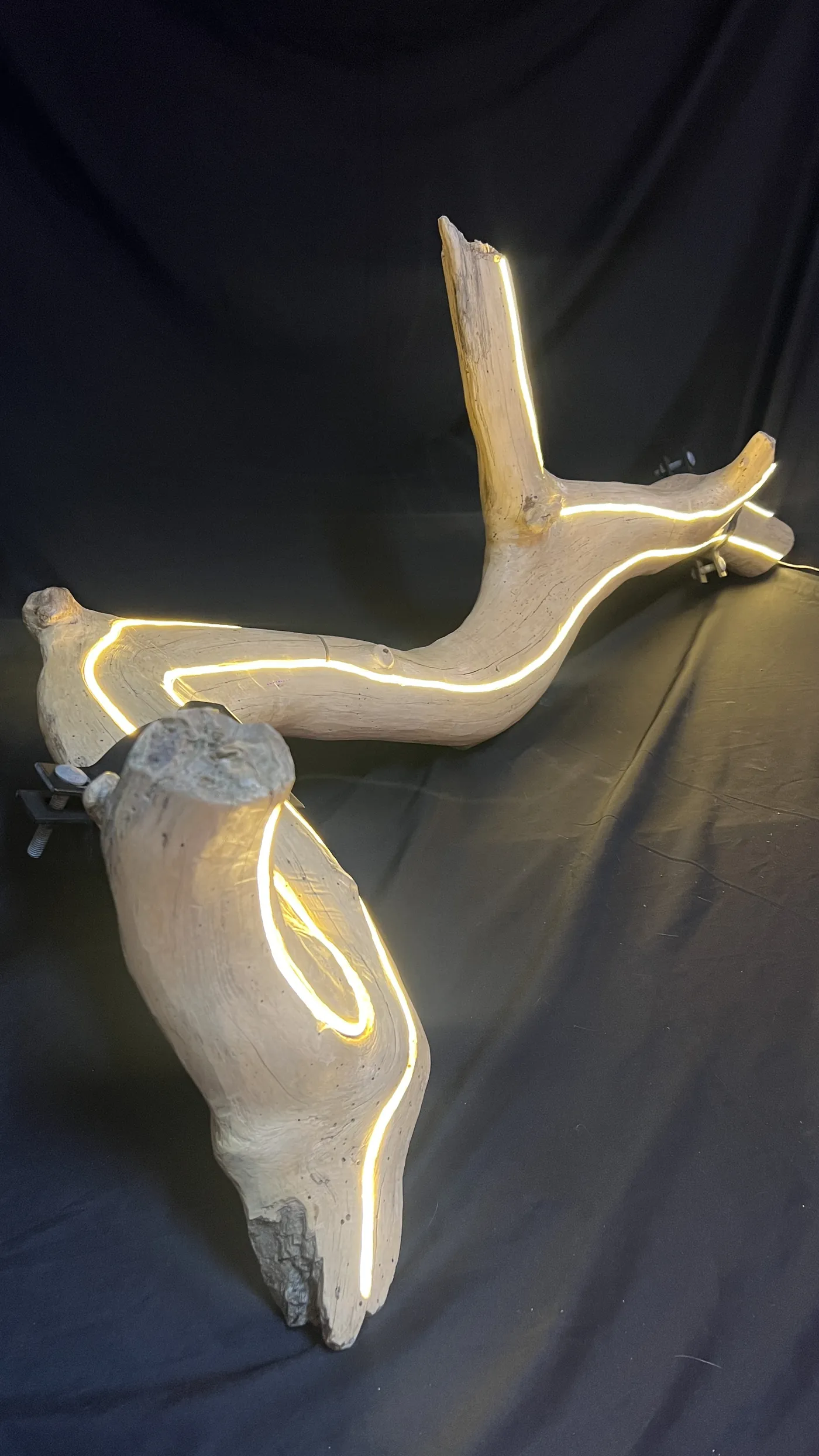Trueno upright — pale sanded wood with the warm channel of light curving through it