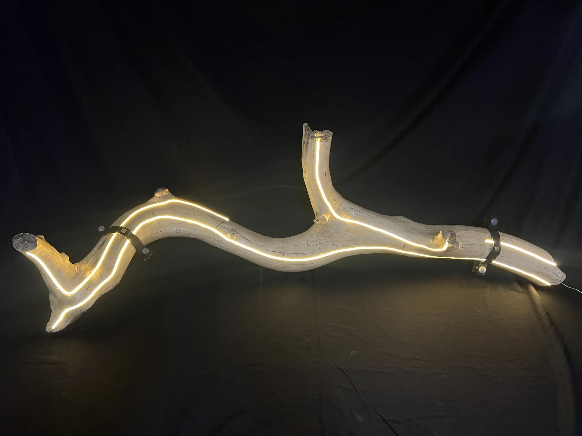 Trueno — driftwood from a lightning-struck tree, a warm vein of light running along its branches